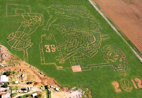 Oklahoma City Thunder Corn Maize