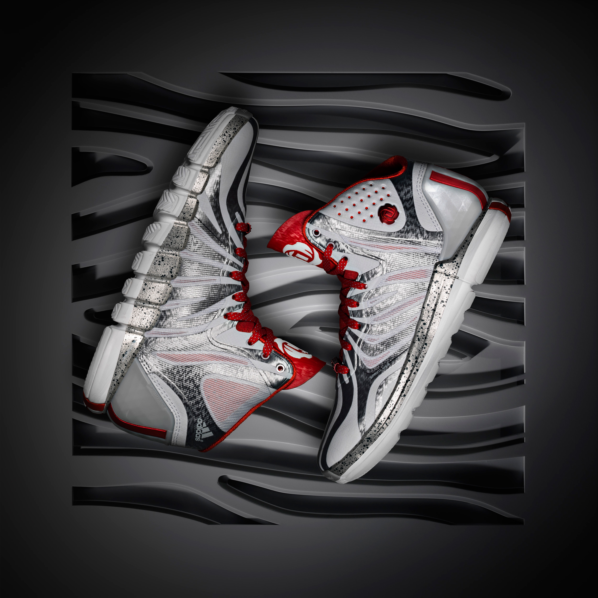 derrick rose zebra shoes