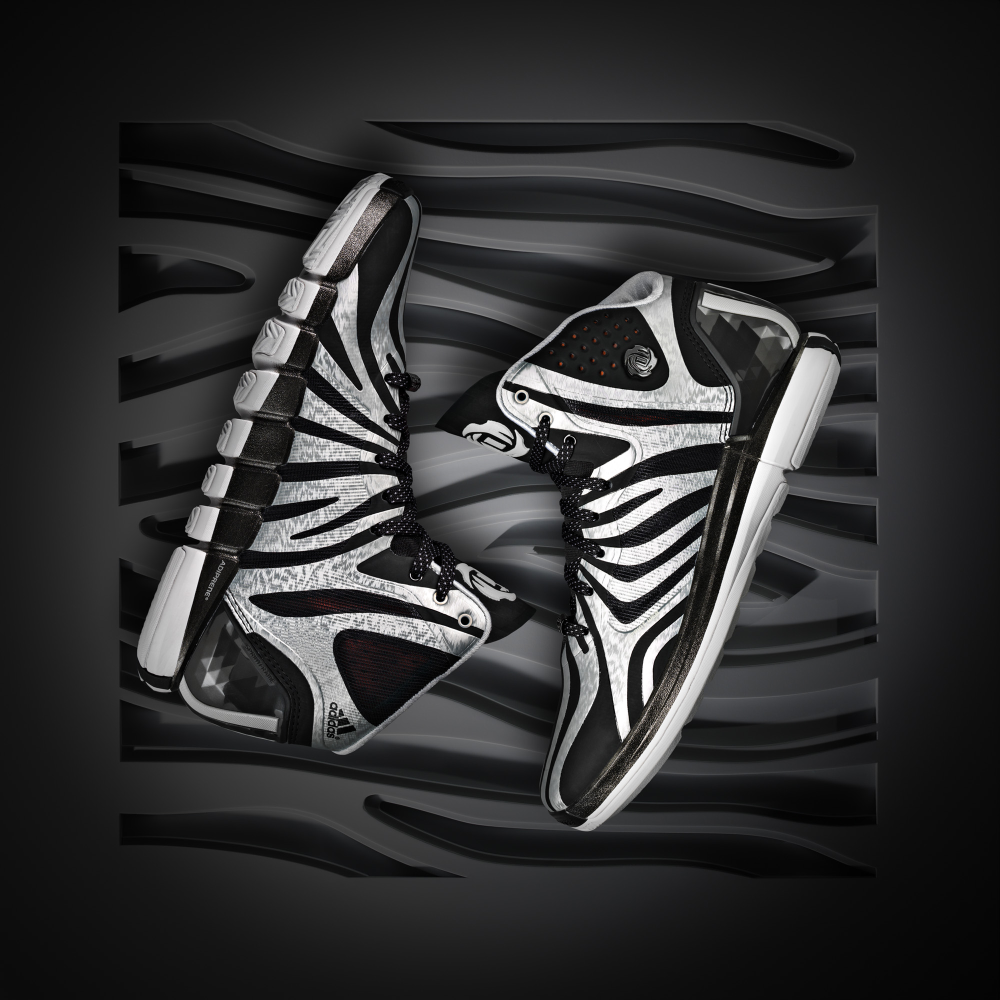 d rose zebra