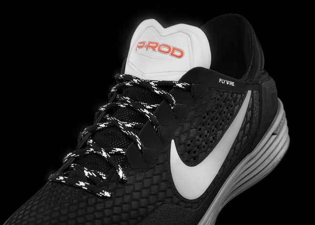 Nike_SB_HO14_FlashPack_PROD_Details_Tongue_33406