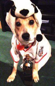 Writer TJ Macias' dog Chas, celebrating the Giants win.