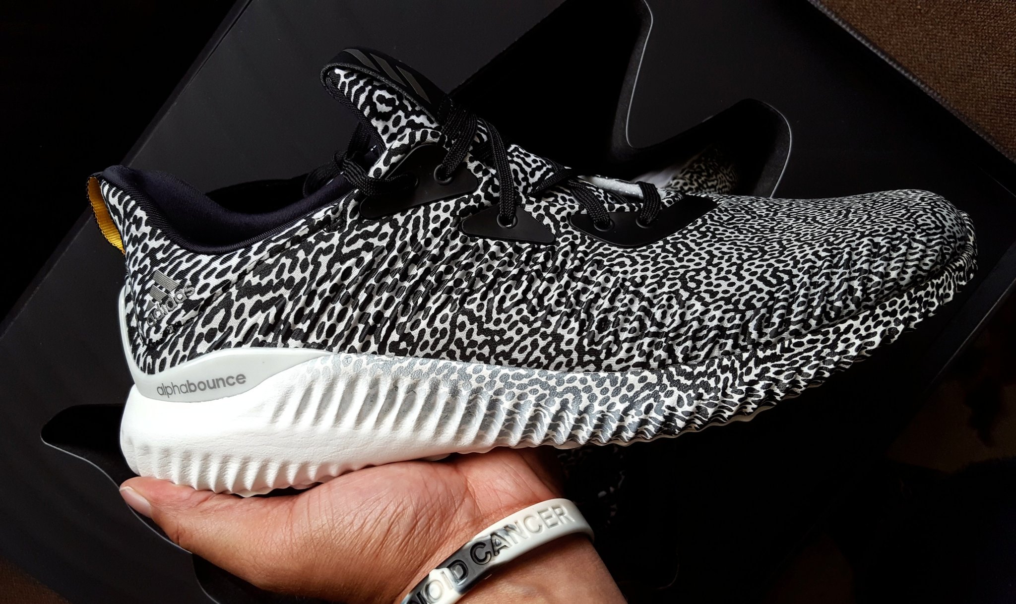 adidas alphabounce zebra