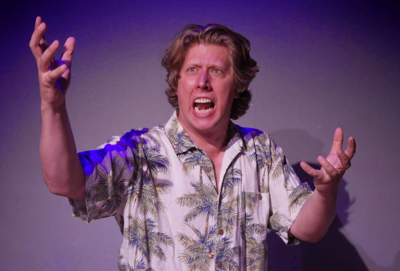 Review: Gary Busey's One Man Hamlet (As Performed by David Carl)
