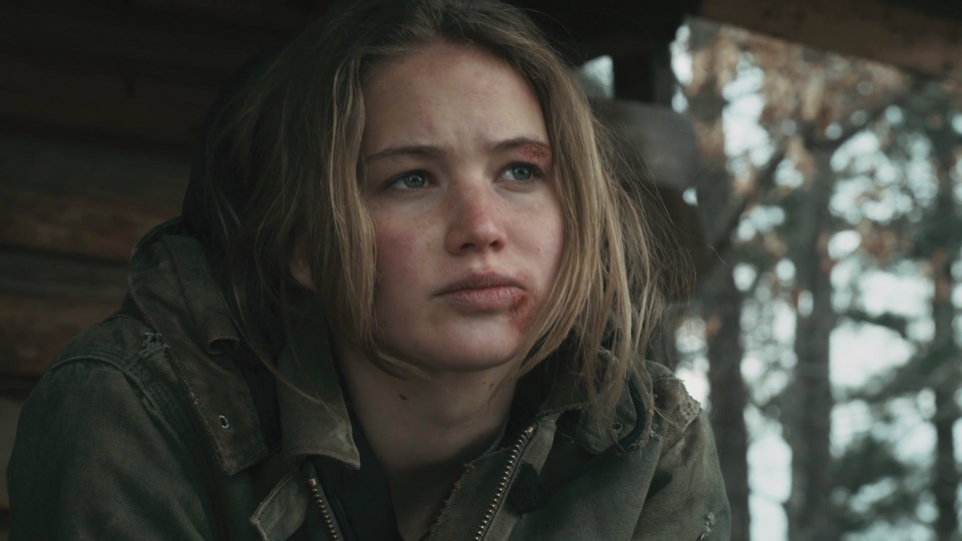 Jennifer Lawrence Hasn't Been Great Since 'Winter's Bone' - There, I SAID IT